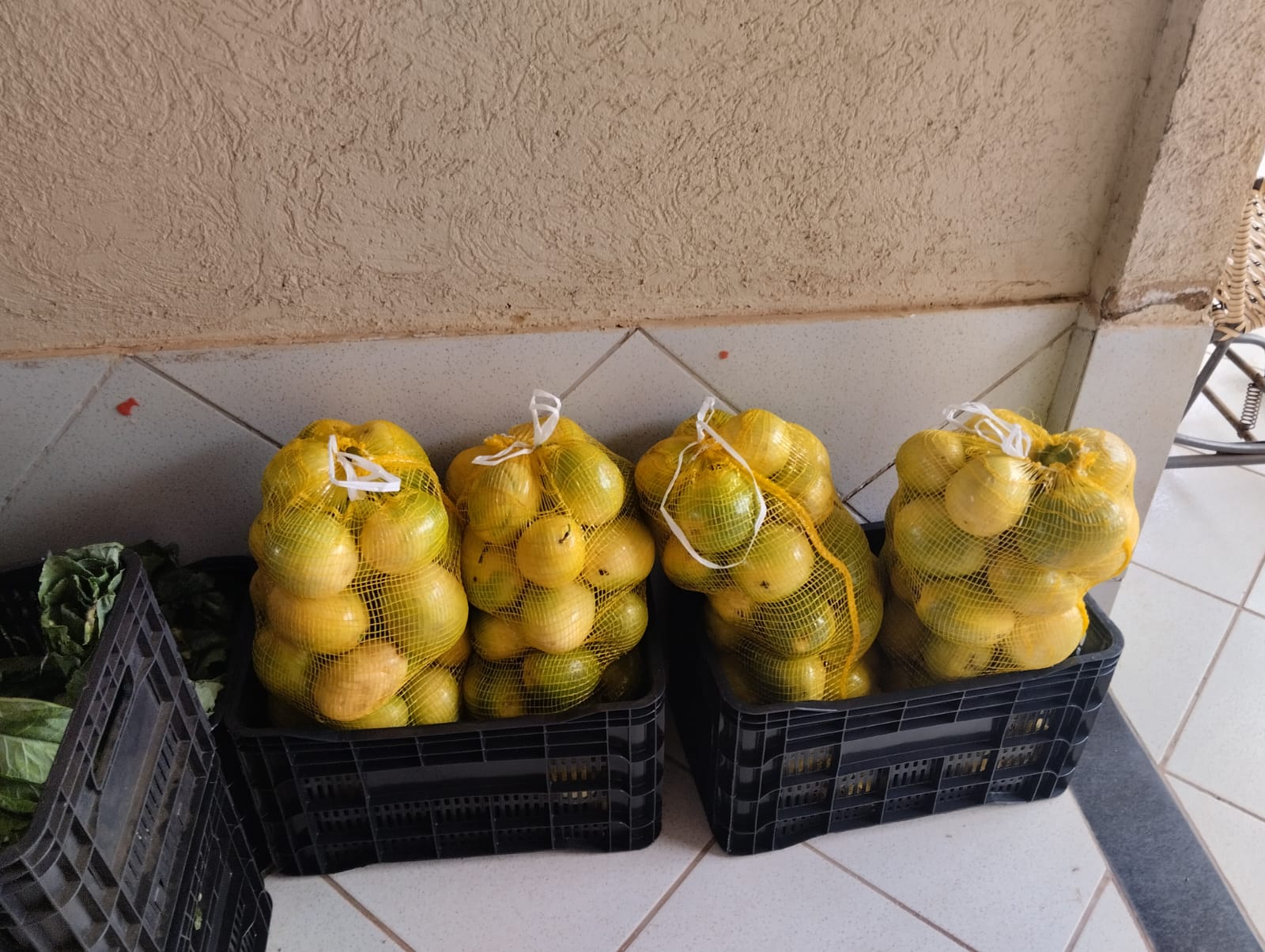 Projeto Mulheres – Foto 5